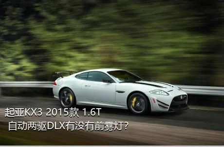 起亚KX3 2015款 1.6T 自动两驱DLX有没有前雾灯？