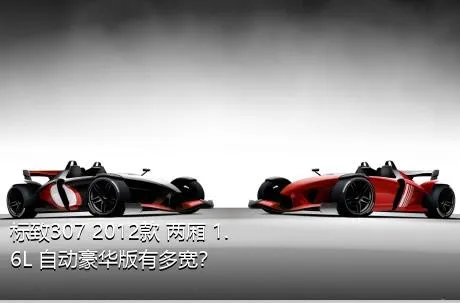 标致307 2012款 两厢 1.6L 自动豪华版有多宽？