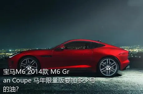 宝马M6 2014款 M6 Gran Coupe 马年限量版要加多少号的油？