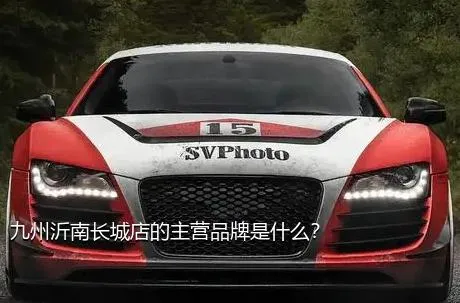 九州沂南长城店的主营品牌是什么？