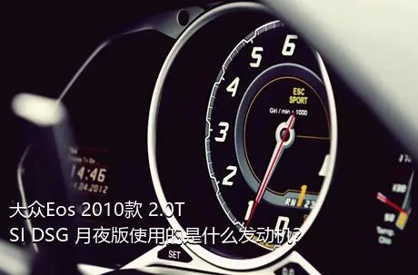 大众Eos 2010款 2.0TSI DSG 月夜版使用的是什么发动机？