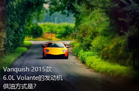 Vanquish 2015款 6.0L Volante的发动机供油方式是？