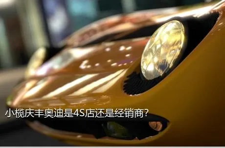 小榄庆丰奥迪是4S店还是经销商？