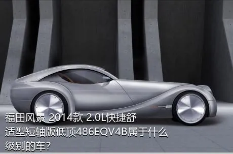 福田风景 2014款 2.0L快捷舒适型短轴版低顶486EQV4B属于什么级别的车？