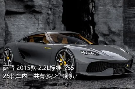 萨普 2015款 2.2L标准版5525长车内一共有多少个喇叭？