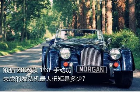 熊猫 2009款 1.3L 手动功夫版的发动机最大扭矩是多少？