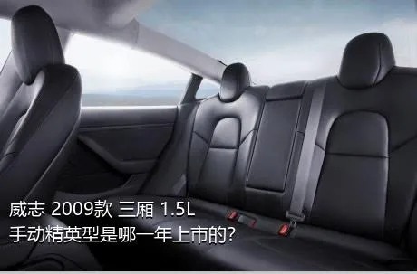 威志 2009款 三厢 1.5L 手动精英型是哪一年上市的？