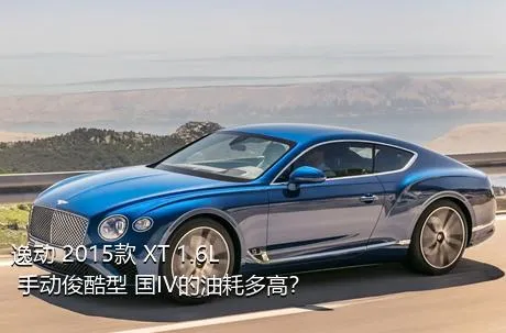 逸动 2015款 XT 1.6L 手动俊酷型 国IV的油耗多高？