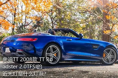 奥迪TT 2008款 TT Roadster 2.0TFSI的近光灯是什么灯泡？