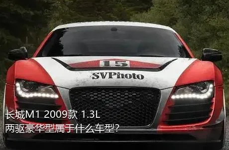 长城M1 2009款 1.3L 两驱豪华型属于什么车型？