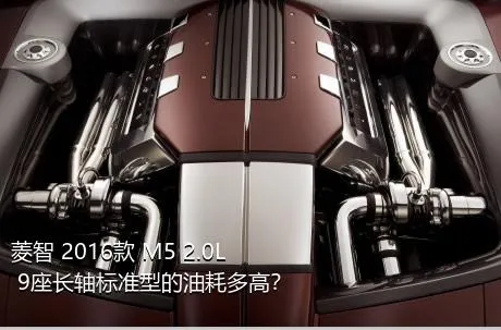 菱智 2016款 M5 2.0L 9座长轴标准型的油耗多高？