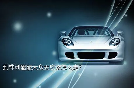 到株洲醴陵大众去应该怎么走？