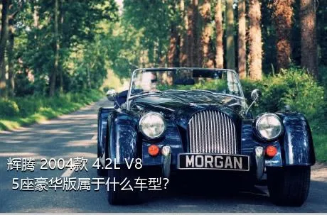 辉腾 2004款 4.2L V8 5座豪华版属于什么车型？