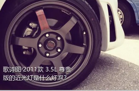 歌诗图 2011款 3.5L 尊贵版的近光灯是什么灯泡？