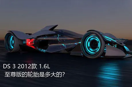 DS 3 2012款 1.6L 至尊版的轮胎是多大的？