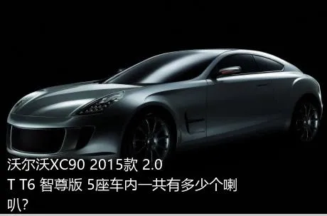 沃尔沃XC90 2015款 2.0T T6 智尊版 5座车内一共有多少个喇叭？