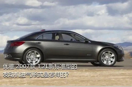 优雅 2007款 1.2L新标准型的发动机进气形式是怎样的？