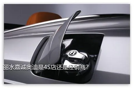 丽水嘉诚奥迪是4S店还是经销商？