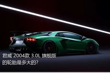 君威 2004款 3.0L 旗舰版的轮胎是多大的？