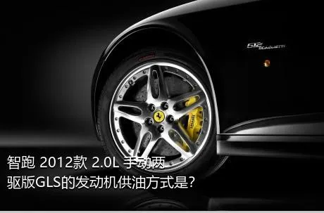 智跑 2012款 2.0L 手动两驱版GLS的发动机供油方式是？