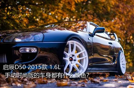 启辰D50 2015款 1.6L 手动时尚版的车身都有什么颜色？