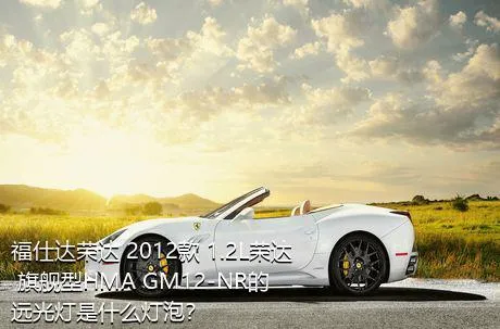 福仕达荣达 2012款 1.2L荣达 旗舰型HMA GM12-NR的远光灯是什么灯泡？