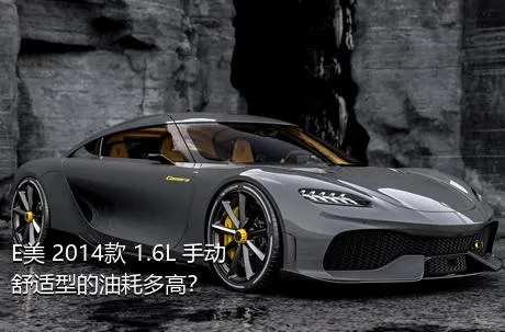 E美 2014款 1.6L 手动舒适型的油耗多高？