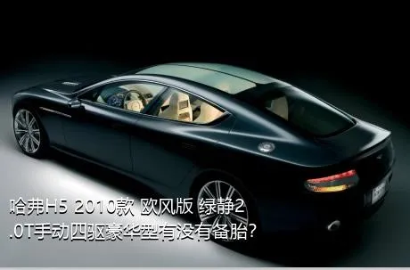哈弗H5 2010款 欧风版 绿静2.0T手动四驱豪华型有没有备胎？