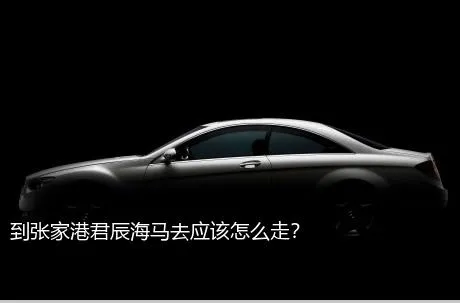 到张家港君辰海马去应该怎么走？