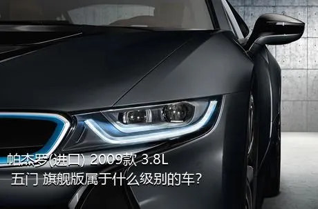 帕杰罗(进口) 2009款 3.8L 五门 旗舰版属于什么级别的车？