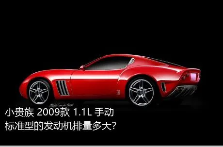小贵族 2009款 1.1L 手动标准型的发动机排量多大？