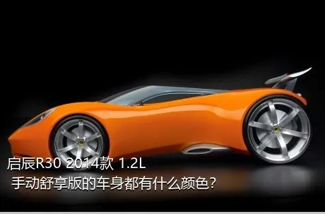 启辰R30 2014款 1.2L 手动舒享版的车身都有什么颜色？