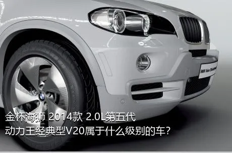金杯海狮 2014款 2.0L第五代动力王经典型V20属于什么级别的车？