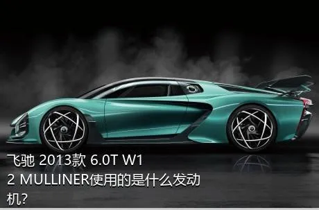 飞驰 2013款 6.0T W12 MULLINER使用的是什么发动机？