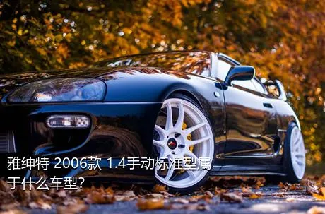 雅绅特 2006款 1.4手动标准型属于什么车型？