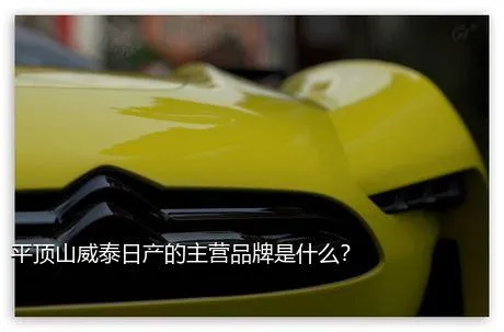 平顶山威泰日产的主营品牌是什么？