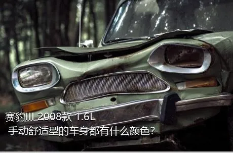 赛豹III 2008款 1.6L 手动舒适型的车身都有什么颜色？