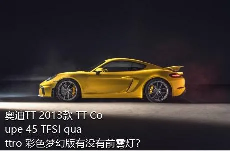 奥迪TT 2013款 TT Coupe 45 TFSI quattro 彩色梦幻版有没有前雾灯？