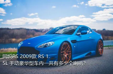 同悦RS 2009款 RS 1.5L 手动豪华型车内一共有多少个喇叭？