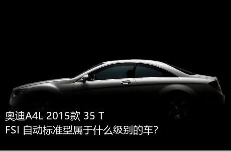 奥迪A4L 2015款 35 TFSI 自动标准型属于什么级别的车？