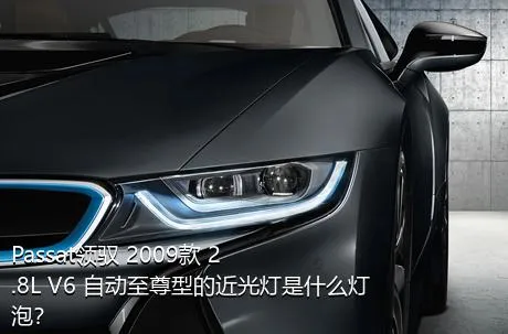 Passat领驭 2009款 2.8L V6 自动至尊型的近光灯是什么灯泡？