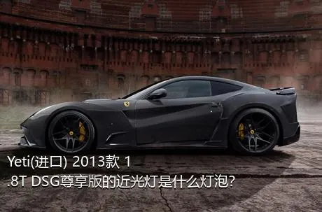 Yeti(进口) 2013款 1.8T DSG尊享版的近光灯是什么灯泡？