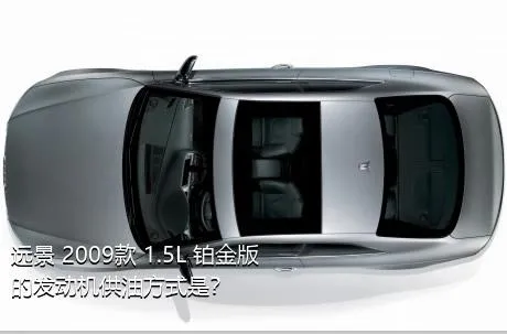 远景 2009款 1.5L 铂金版的发动机供油方式是？