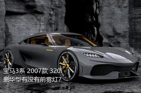 宝马3系 2007款 320i 豪华型有没有前雾灯？