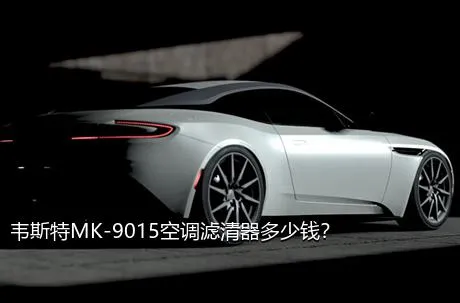 韦斯特MK-9015空调滤清器多少钱？