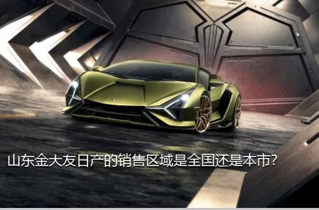 山东金大友日产的销售区域是全国还是本市？