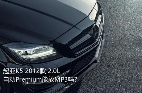 起亚K5 2012款 2.0L 自动Premium能放MP3吗？