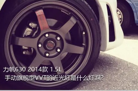 力帆630 2014款 1.5L 手动旗舰型VVT的近光灯是什么灯泡？