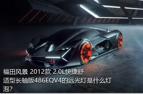 福田风景 2012款 2.0L快捷舒适型长轴版486EQV4的远光灯是什么灯泡？