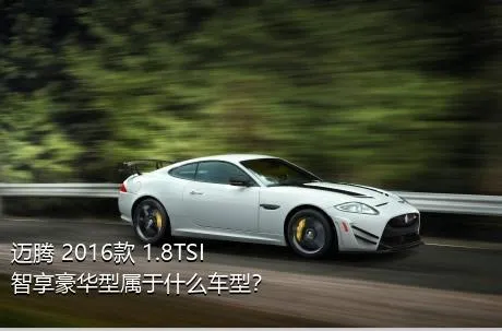 迈腾 2016款 1.8TSI 智享豪华型属于什么车型？